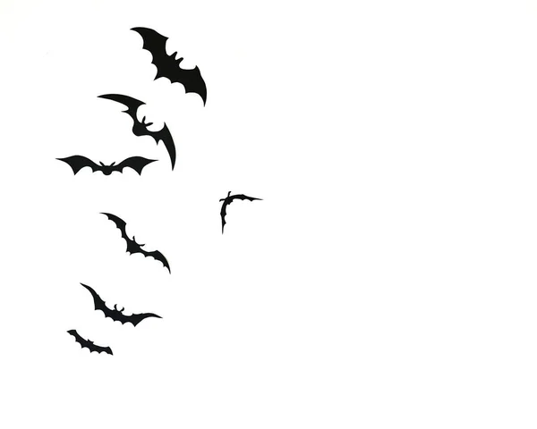 Bat paper decoration halloween and scary concept, black paper bats flying over white background