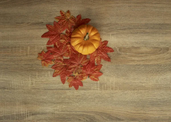 Otoño Calabazas Halloween Madera Mediodía Cerca Fondo Para Ritmo Copia —  Fotos de Stock