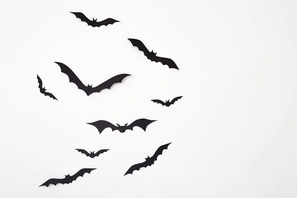 万圣节和装饰空的空间设计黑色纸蝙蝠飞越白色背景 — 图库照片