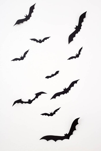 Хэллоуин и украшения Пустое пространство для дизайна темп копирования - черные бумажные летучие мыши летят над белым фоном
