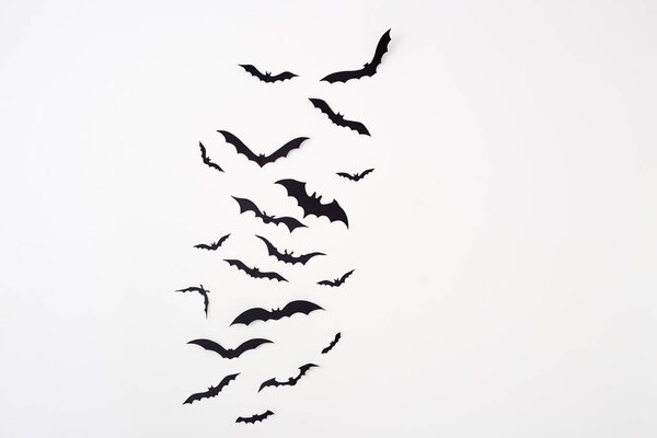 Хэллоуин и украшения Пустое пространство для дизайна темп копирования - черные бумажные летучие мыши летят над белым фоном
