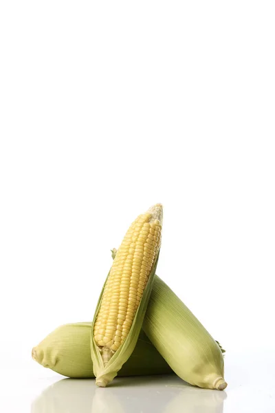 Verse Zoete Maïs Met Kaf Witte Achtergrond — Stockfoto