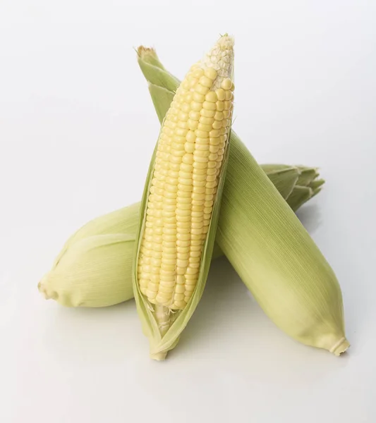白底壳新鲜甜玉米 — 图库照片