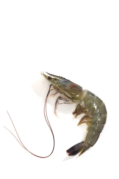 Raw Black Tiger Prawns Penaeus Monodon Shrimp Ready Preparation — Stock Photo, Image