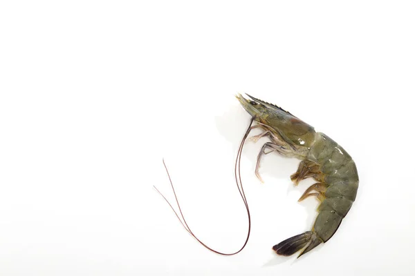 Raw Black Tiger Prawns Penaeus Monodon Shrimp Ready Preparation — Stock Photo, Image