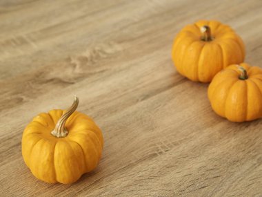 Parlak sarı ve turuncu renk ile kök tasarım ve metin için boş alan ile hafif kahverengi ahşap masa üzerinde üç olgun kabaklar