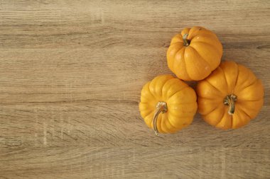 Parlak sarı ve turuncu renk ile kök tasarım ve metin için boş alan ile hafif kahverengi ahşap masa üzerinde üç olgun kabaklar