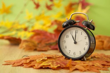 Kurutulmuş akçaağaç yaprakları yeşil zemin üzerine siyah vintage saatiyle