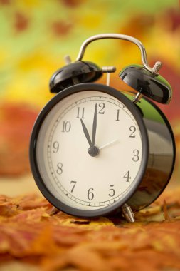 Kurutulmuş akçaağaç yaprakları yeşil zemin üzerine siyah vintage saatiyle