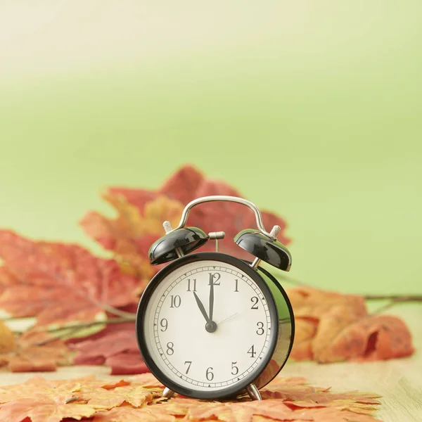 Relógio Vintage Preto Com Folhas Bordo Secas Fundo Verde — Fotografia de Stock