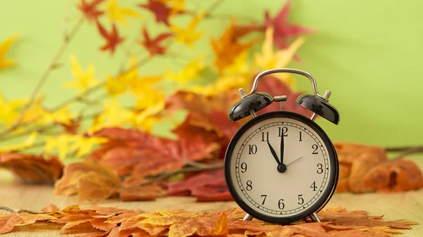 Kurutulmuş akçaağaç yaprakları yeşil zemin üzerine siyah vintage saatiyle