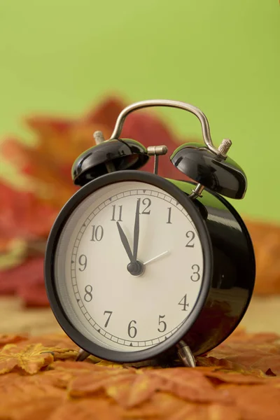 Schwarze Vintage Uhr Mit Getrockneten Ahornblättern Auf Grünem Hintergrund — Stockfoto