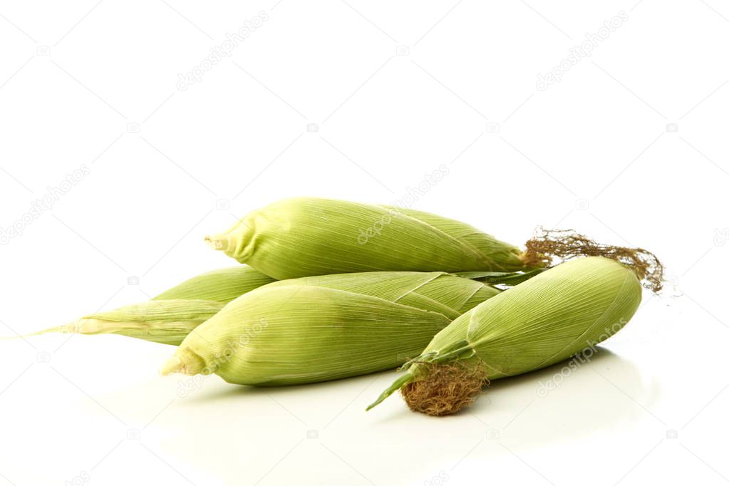 organic ear of corn on a white background, Space for design