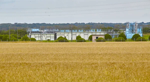 View from train in japan mixed agriculture with high tension power poles, Photo shoot on train in Japan