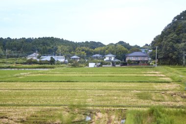 Pirinç çeltik alanı ve Japonya çiftlik arasındaki tren Japonya'dan bulanık görünüm
