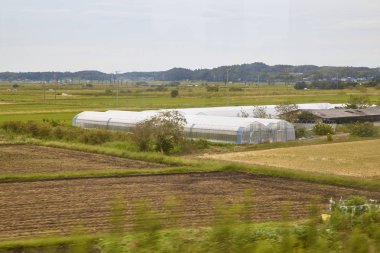 Pirinç çeltik alanı ve Japonya çiftlik arasındaki tren Japonya'dan bulanık görünüm