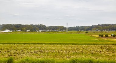Trenin karışık tarım yüksek gerilimli elektrik direkleri ile fotoğraf çekimi trende Japonya Japonya göster