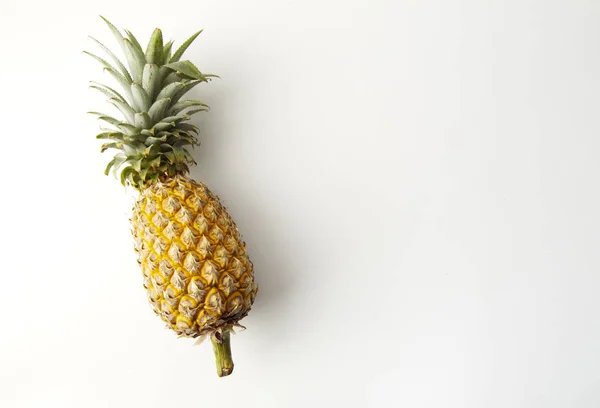 Close Ripe Pineapple White Background Holiday Ideas Asia Travel — Stock Photo, Image