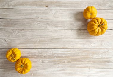 Yüksek açı natürmort sonbahar dekoratif kabaklar ve su kabakları. Kopya alanı, bir beyaz tahta masada yatay biçim Cadılar Bayramı ve Şükran kavramı