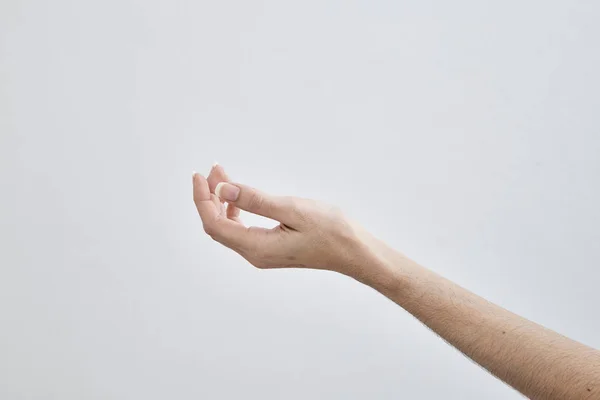 Leere Weibliche Hand Die Isoliert Auf Weißem Hintergrund Hält — Stockfoto