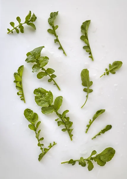 Fresh Green Rocket leaves salad leaf on white