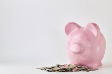 Pembe kumbara ve beyaz arka plan üzerinde paralar. Finans, tasarruf, doğal durumda