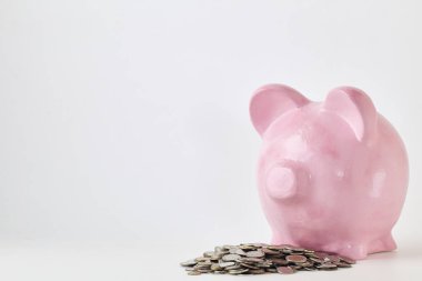 Pembe kumbara ve beyaz arka plan üzerinde paralar. Finans, tasarruf, doğal durumda
