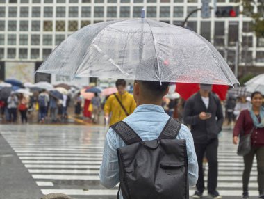 Shibuya kare, yağmurda yürümek şemsiye ile adam.