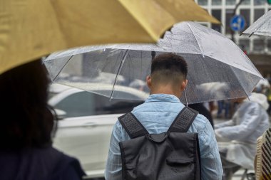 Shibuya kare, yağmurda yürümek şemsiye ile adam.
