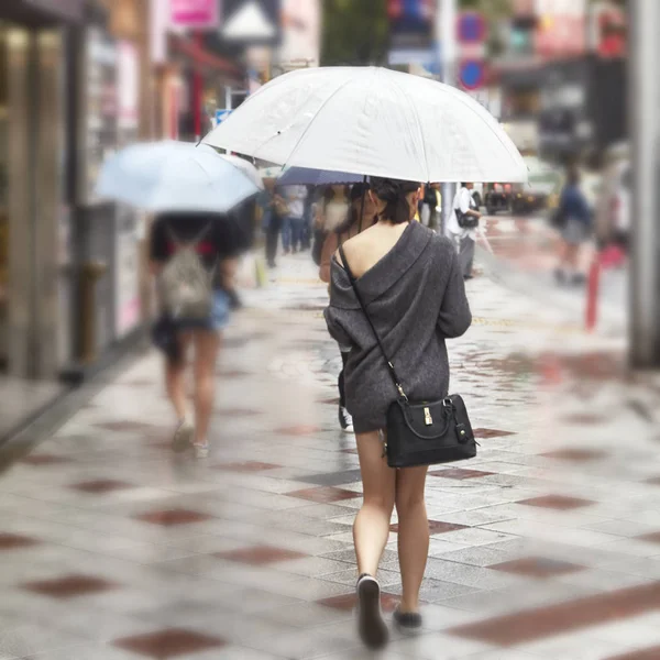 Beautiful Young Woman Attractive Beautiful Lady Hold Umbrella Its Rainy — Stock Photo, Image