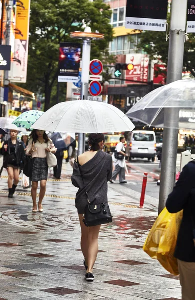Schöne Junge Frau Attraktive Schöne Dame Hält Einen Regenschirm Seinen — Stockfoto