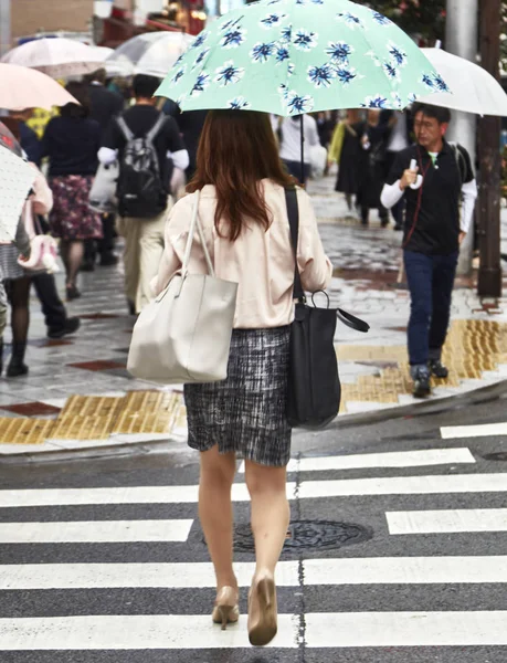 Schöne Junge Frau Attraktive Schöne Dame Hält Einen Regenschirm Seinen — Stockfoto