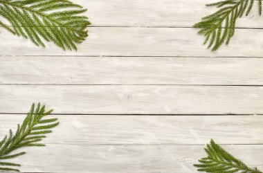 Çerçeve ile 2019 Noel kompozisyon köknar dalı. Düz yatıyordu, en iyi görünümü