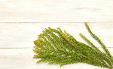 Çerçeve ile 2019 Noel kompozisyon köknar dalı. Düz yatıyordu, en iyi görünümü