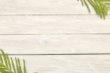 Çerçeve ile 2019 Noel kompozisyon köknar dalı. Düz yatıyordu, en iyi görünümü