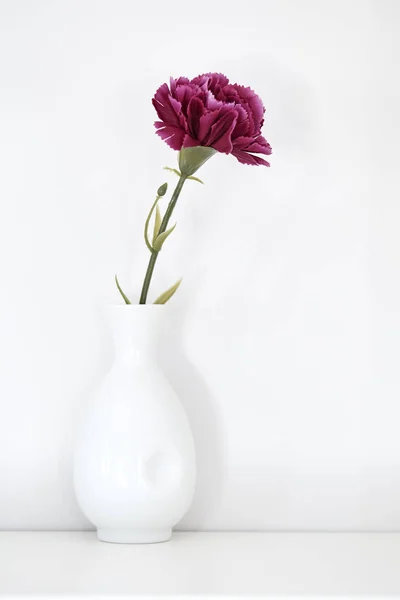 single purple carnation in vase on white background