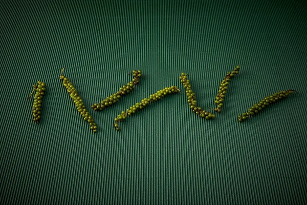 Biber ile yeşil Kağıt oluklu. Tropikal otsular kavramı. Tasarım için boş alan