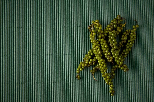 Biber ile yeşil Kağıt oluklu. Tropikal otsular kavramı. Tasarım için boş alan