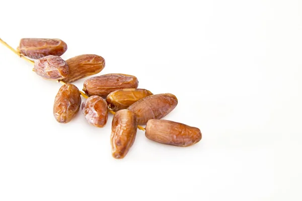 Dates Séchées Créatives Sur Fond Blanc Tige Pose Plate Concept — Photo