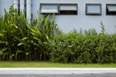 Evin dış süslemeleri. Tropik bitkiler kullanma