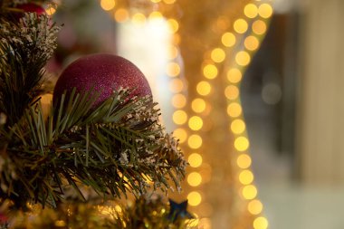 Mor Noel ağacı ışıkları ve yıldız topa