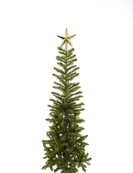 美丽的云杉树在白色背景与圣诞节 — 图库照片