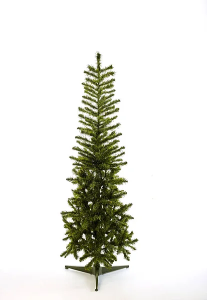 Spruce Treeon White Background Christmas Day — Stock Photo, Image