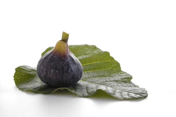 Figues Avec Feuilles Isolées Sur Fond Blanc Nutriments Violets Photographie — Photo