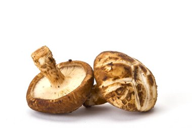 Taze shiitake mantar beyaz arka plan Tonik bileşenleri izole