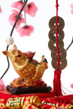 Ay Yeni Yıl veya Çin yeni yıl 2019 Kiraz ağacı dalı beyaz arka plan çiçekleri açan domuz