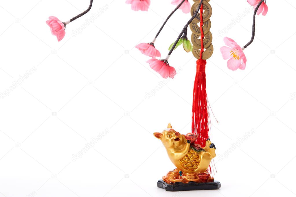 Decoration Pig 2019 Lunar New Year and Chinese New Year on white background, Empty space for design