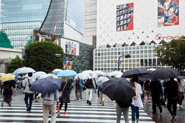 Tokyo Giappone Settembre 2018 Persone Che Tengono Gli Ombrelli Strada — Foto Stock