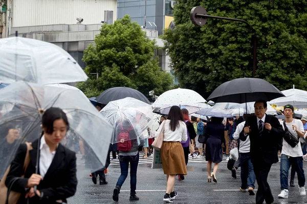 Tokyo Japonya, Eyl 21 ,2018, Tokyo Shibuya sokakta şemsiye tutan insanlar, Japonya. Ünlü scramble yaya geçidi günde 2,5 milyondan fazla kişi tarafından kullanılmaktadır. şehir, Tokyo Japonya'da