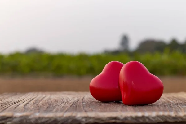 Zwei Herzen Auf Einem Holzbrett Garten Bei Sonnenuntergang Valentinstag Grußkarte — Stockfoto